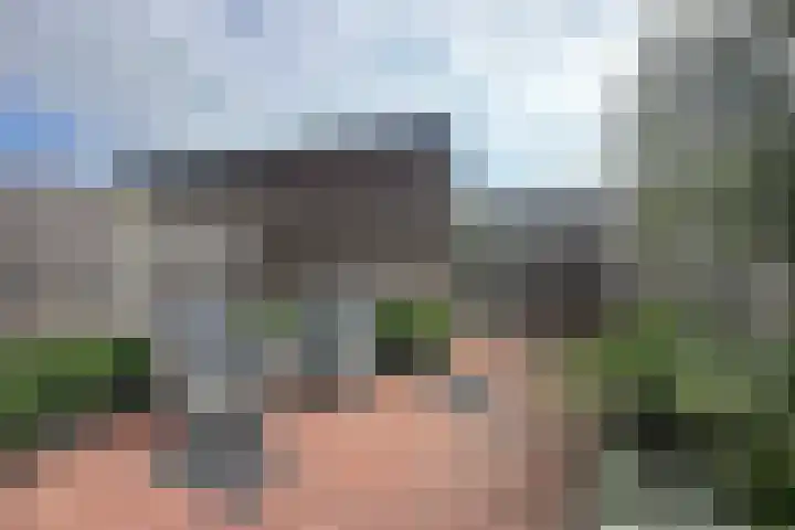 Pioenroos 8 Waddinxveen thumbnail 32