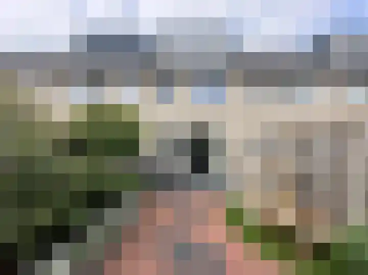 Pioenroos 8 Waddinxveen thumbnail 33