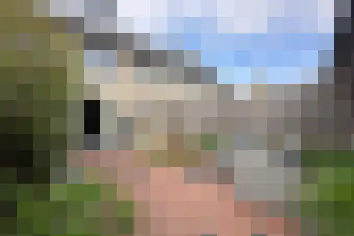Pioenroos 8 Waddinxveen thumbnail 34