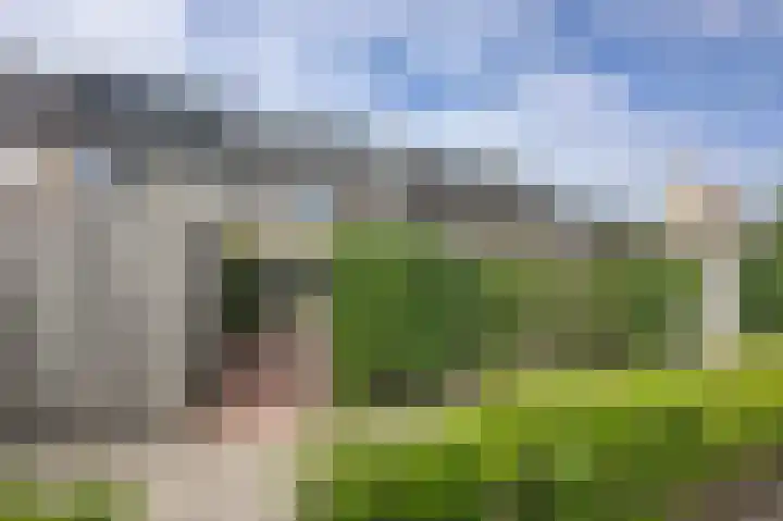 Pioenroos 8 Waddinxveen thumbnail 35
