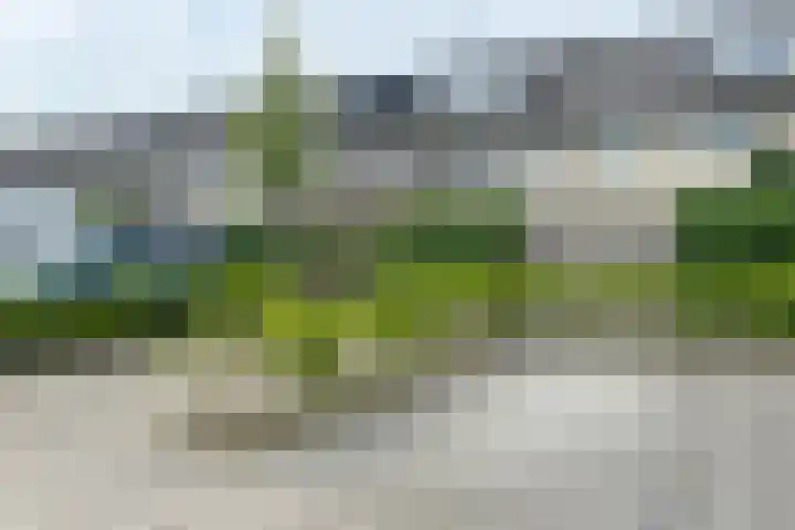 Pioenroos 8 Waddinxveen thumbnail 36