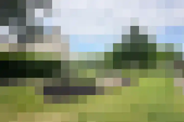 Pioenroos 8 Waddinxveen thumbnail 38