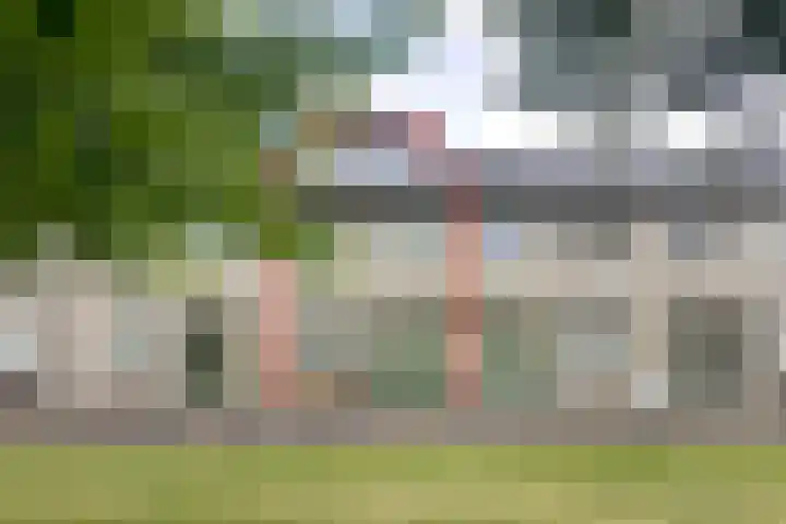 Pioenroos 8 Waddinxveen thumbnail 4