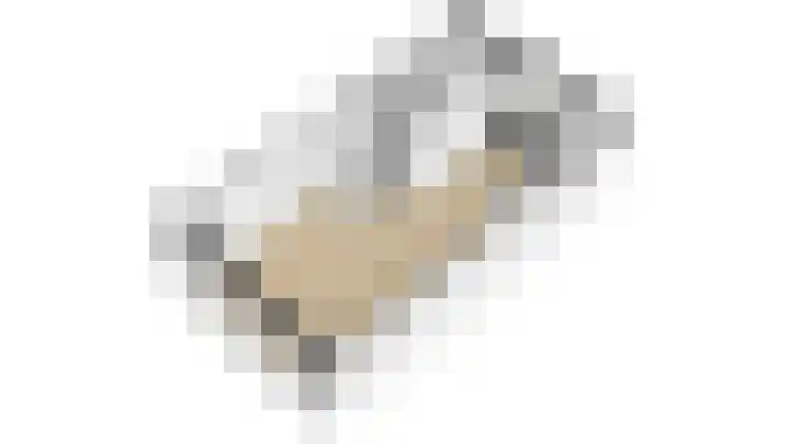 Pioenroos 8 Waddinxveen thumbnail 40