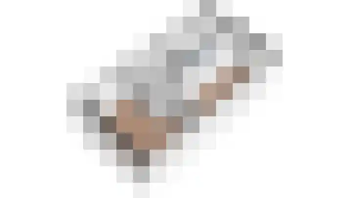Pioenroos 8 Waddinxveen thumbnail 43