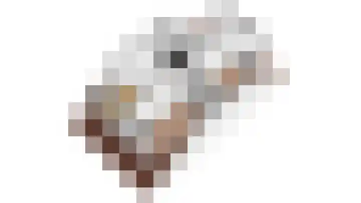 Pioenroos 8 Waddinxveen thumbnail 46