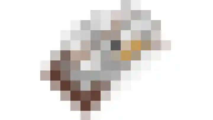 Pioenroos 8 Waddinxveen thumbnail 47