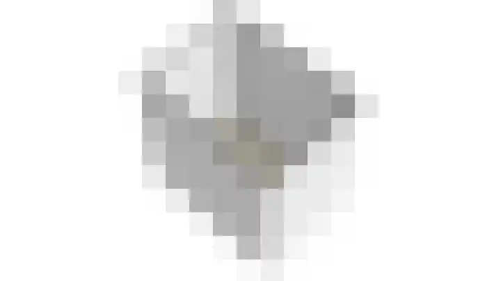 Pioenroos 8 Waddinxveen thumbnail 52