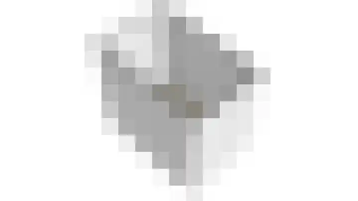Pioenroos 8 Waddinxveen thumbnail 53