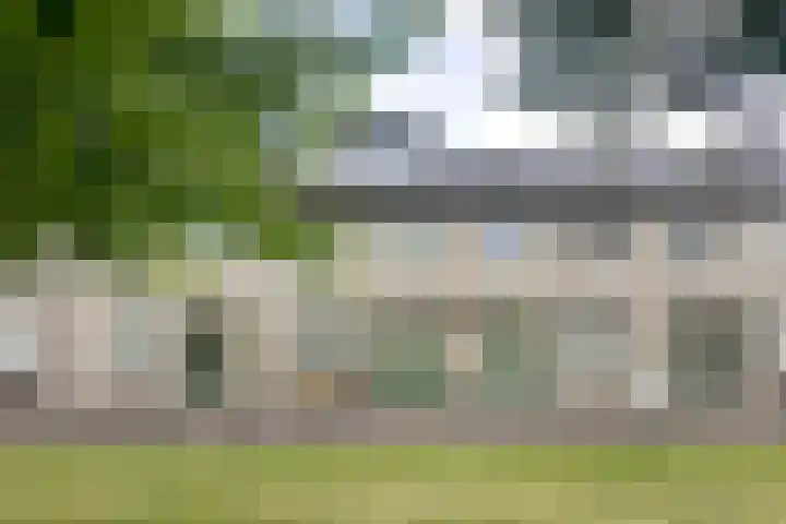 Pioenroos 8 Waddinxveen thumbnail 54