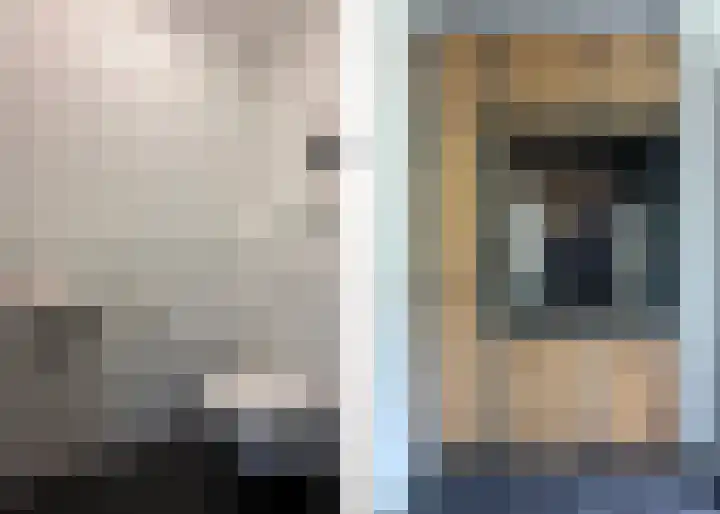 Pioenroos 8 Waddinxveen thumbnail 7