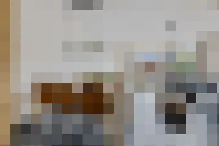 Pioenroos 8 Waddinxveen thumbnail 8