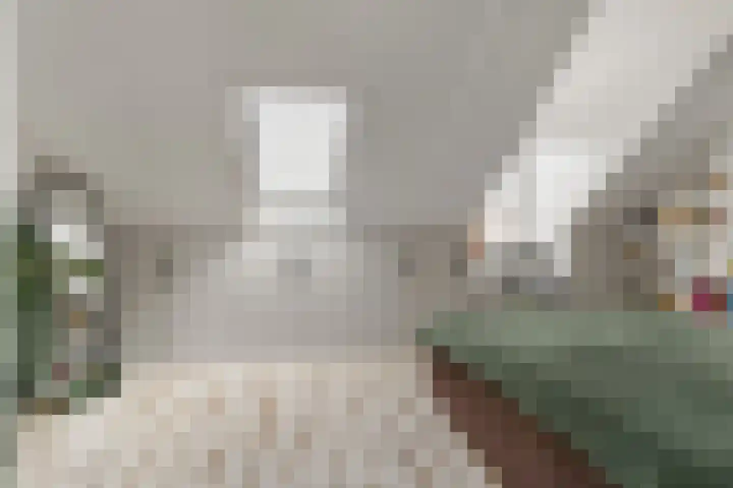Pioenroos 9 Waddinxveen thumbnail 10