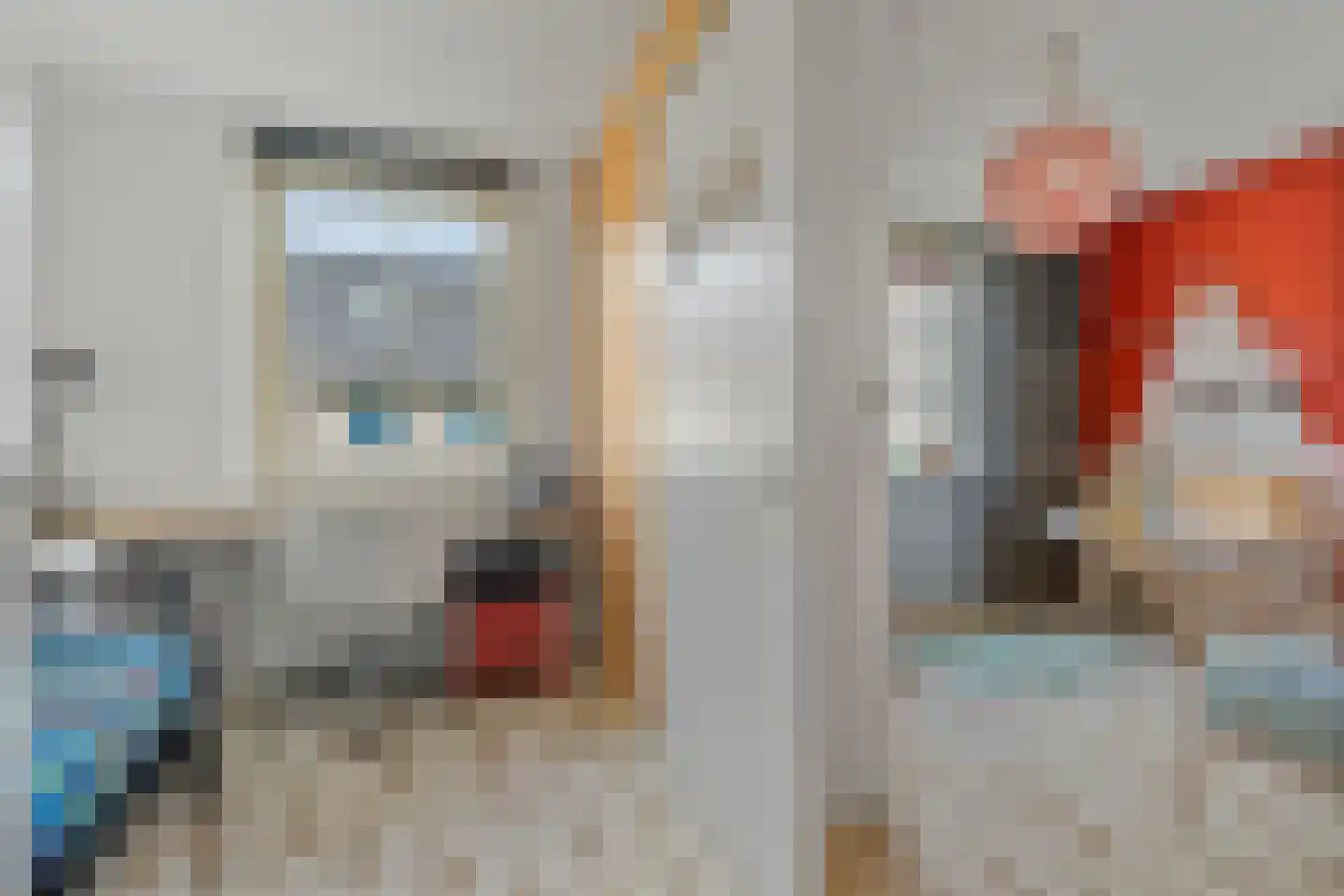 Pioenroos 9 Waddinxveen thumbnail 16