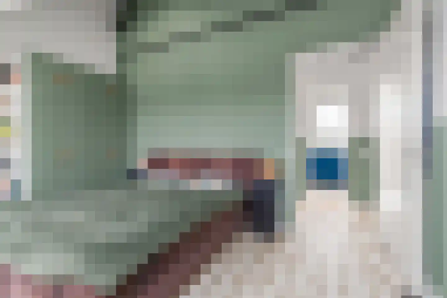 Pioenroos 9 Waddinxveen thumbnail 31