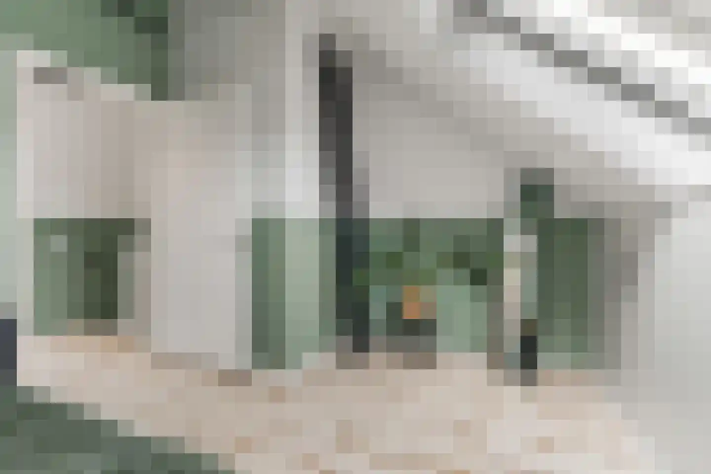 Pioenroos 9 Waddinxveen thumbnail 33