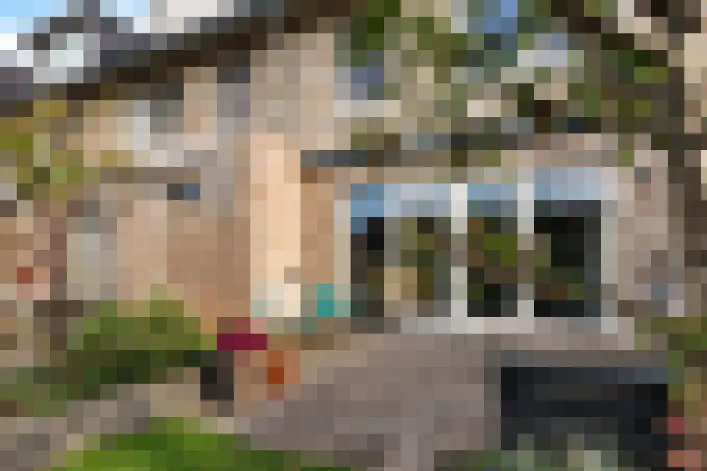 Pioenroos 9 Waddinxveen thumbnail 39