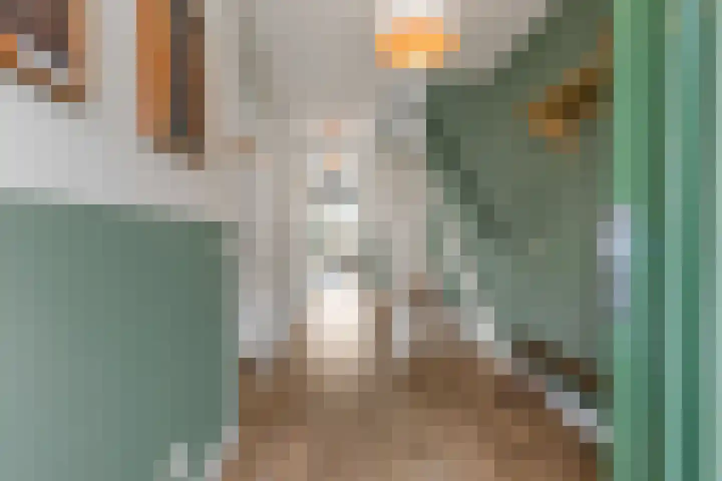 Pioenroos 9 Waddinxveen thumbnail 4