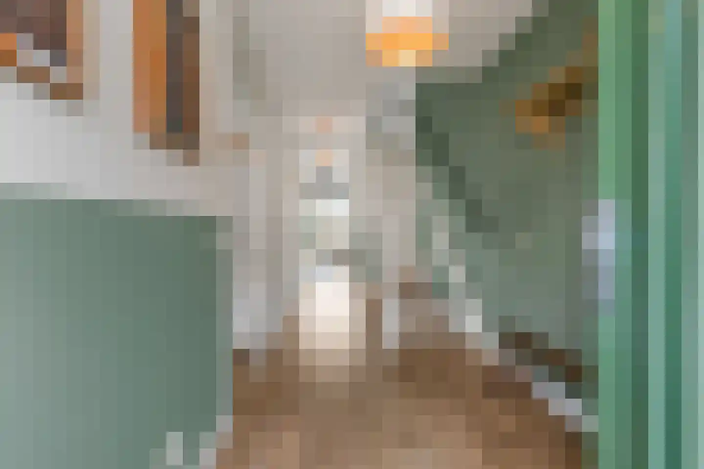 Pioenroos 9 Waddinxveen thumbnail 4