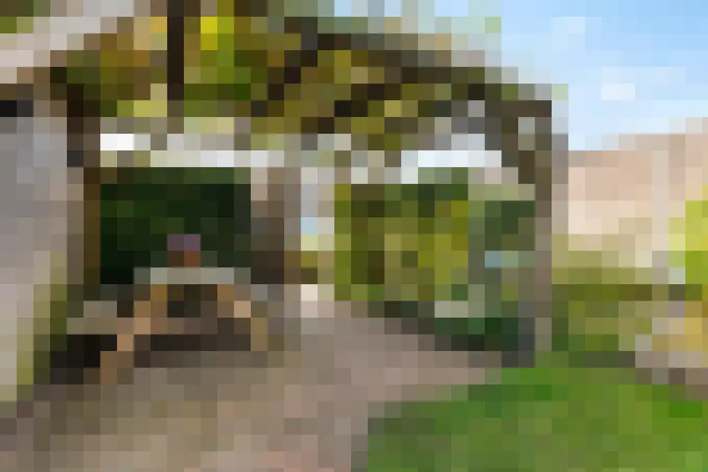Pioenroos 9 Waddinxveen thumbnail 43