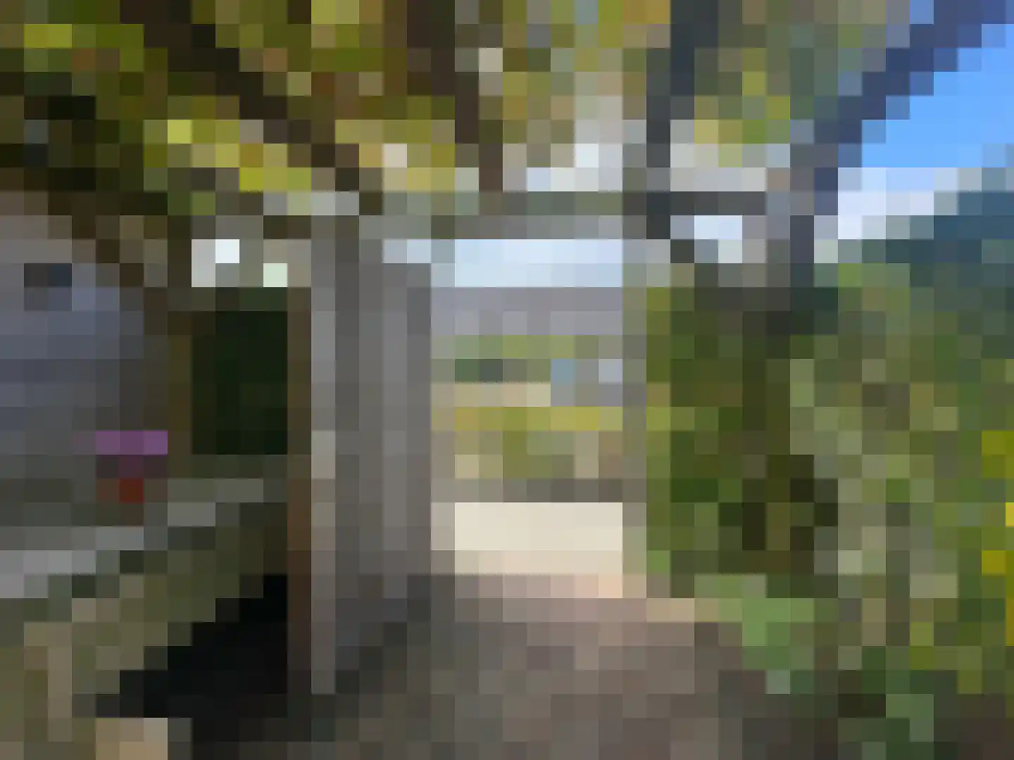 Pioenroos 9 Waddinxveen thumbnail 44