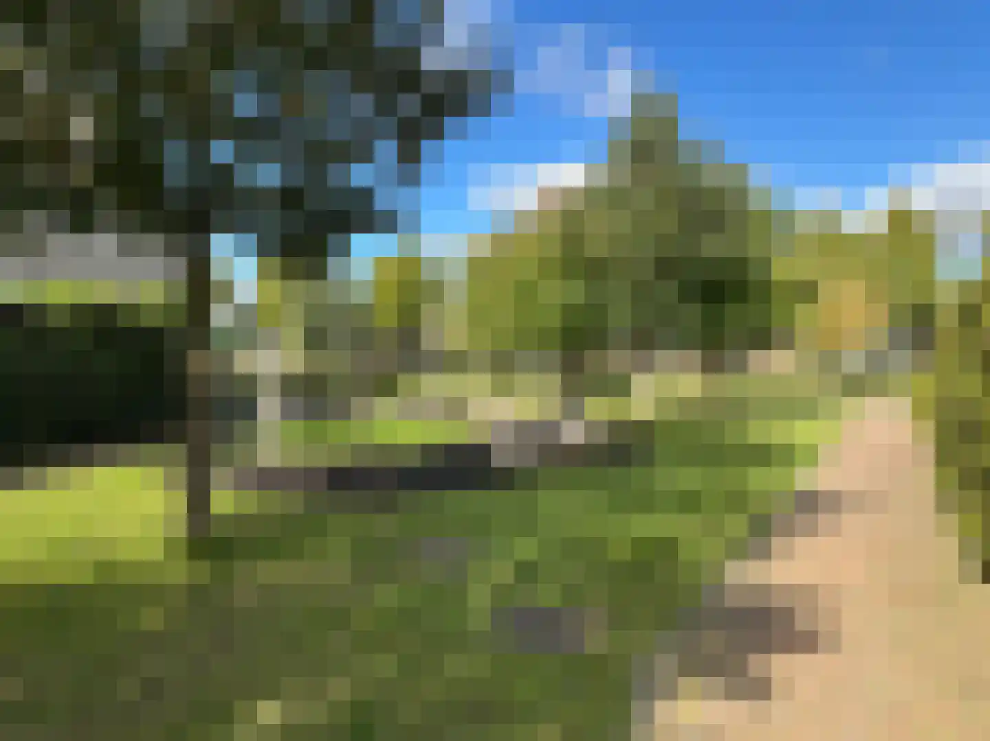 Pioenroos 9 Waddinxveen thumbnail 47
