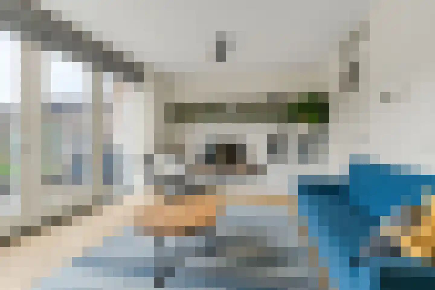 Pioenroos 9 Waddinxveen thumbnail 7