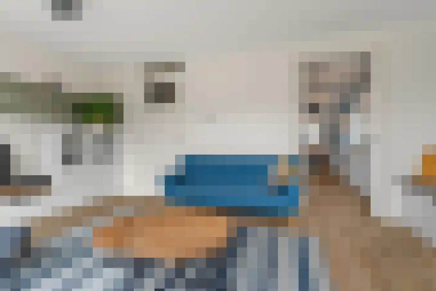 Pioenroos 9 Waddinxveen thumbnail 8
