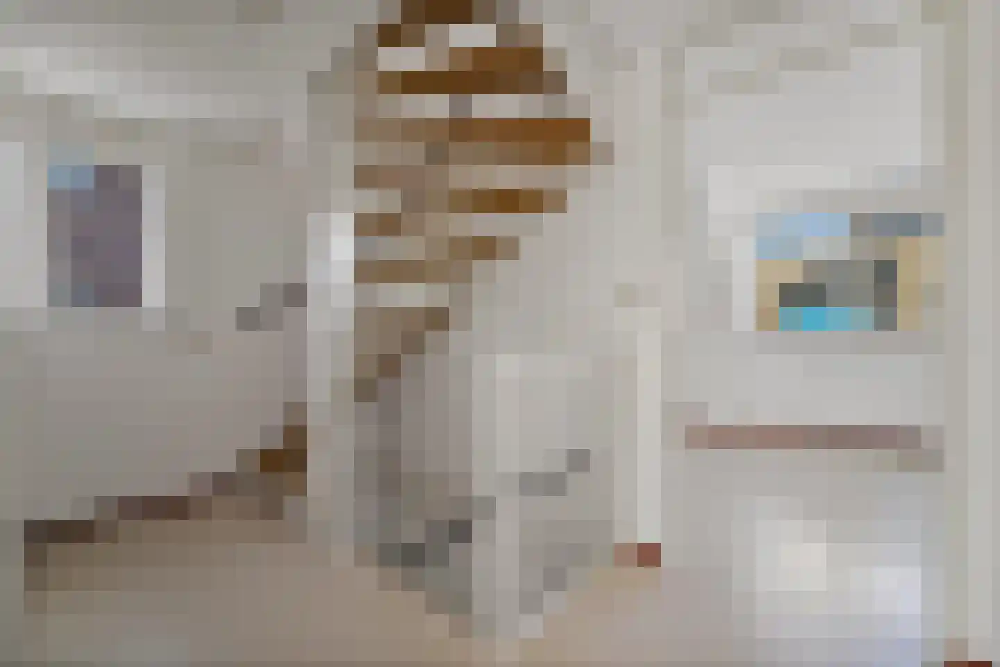 Pioenrooslaan 16 Wateringen thumbnail 30