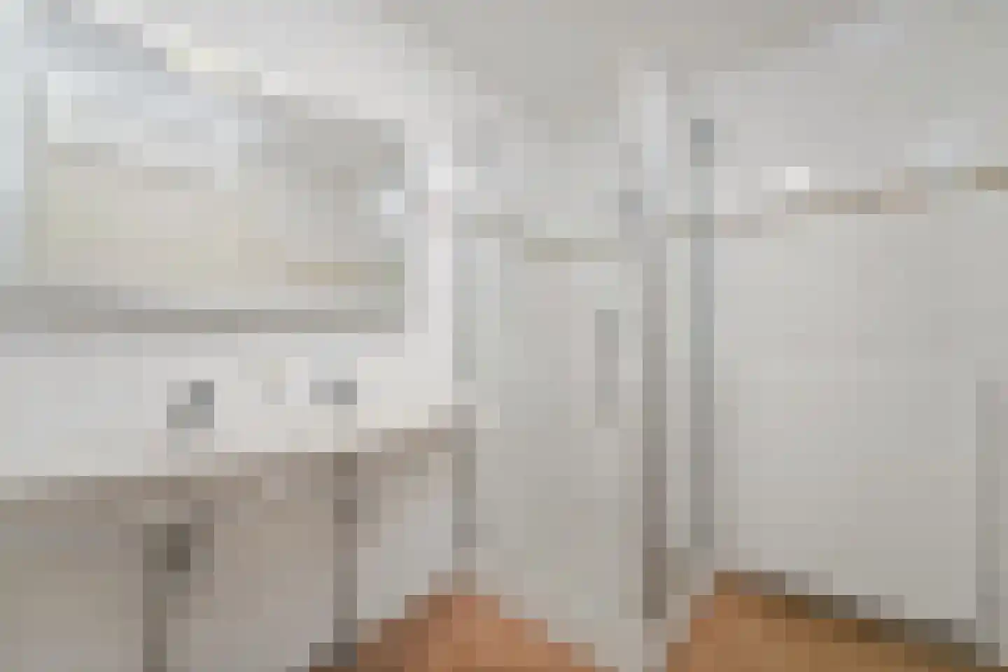 Pioenrooslaan 16 Wateringen thumbnail 36