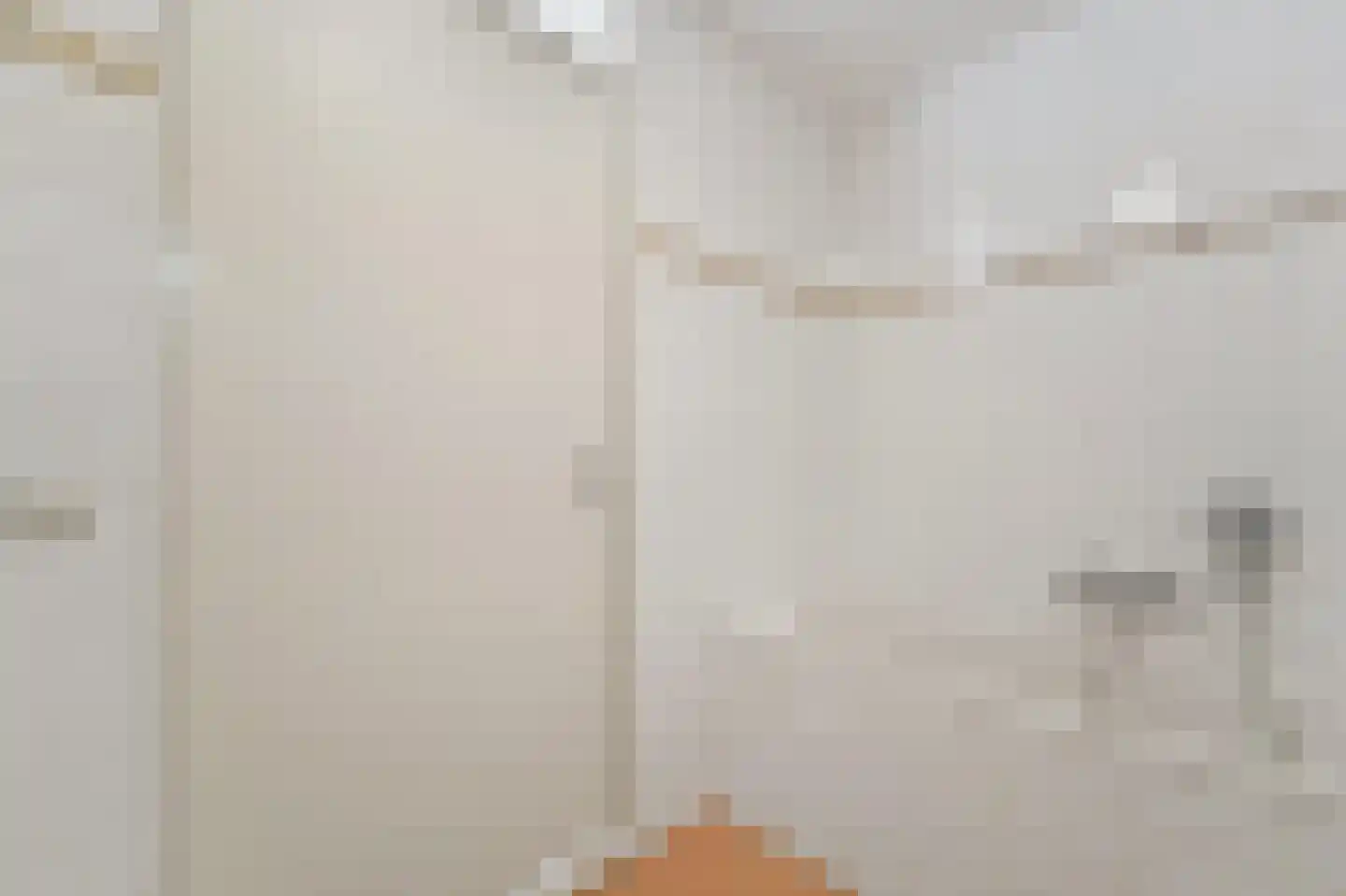 Pioenrooslaan 16 Wateringen thumbnail 37