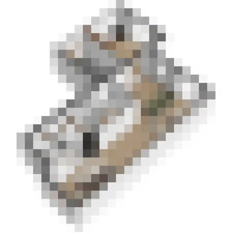 Pioenrooslaan 16 Wateringen thumbnail 58