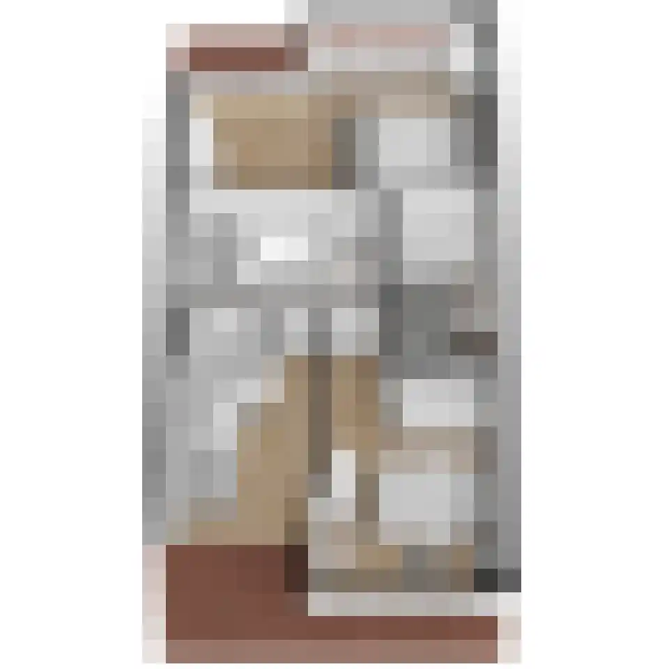 Pioenrooslaan 16 Wateringen thumbnail 59