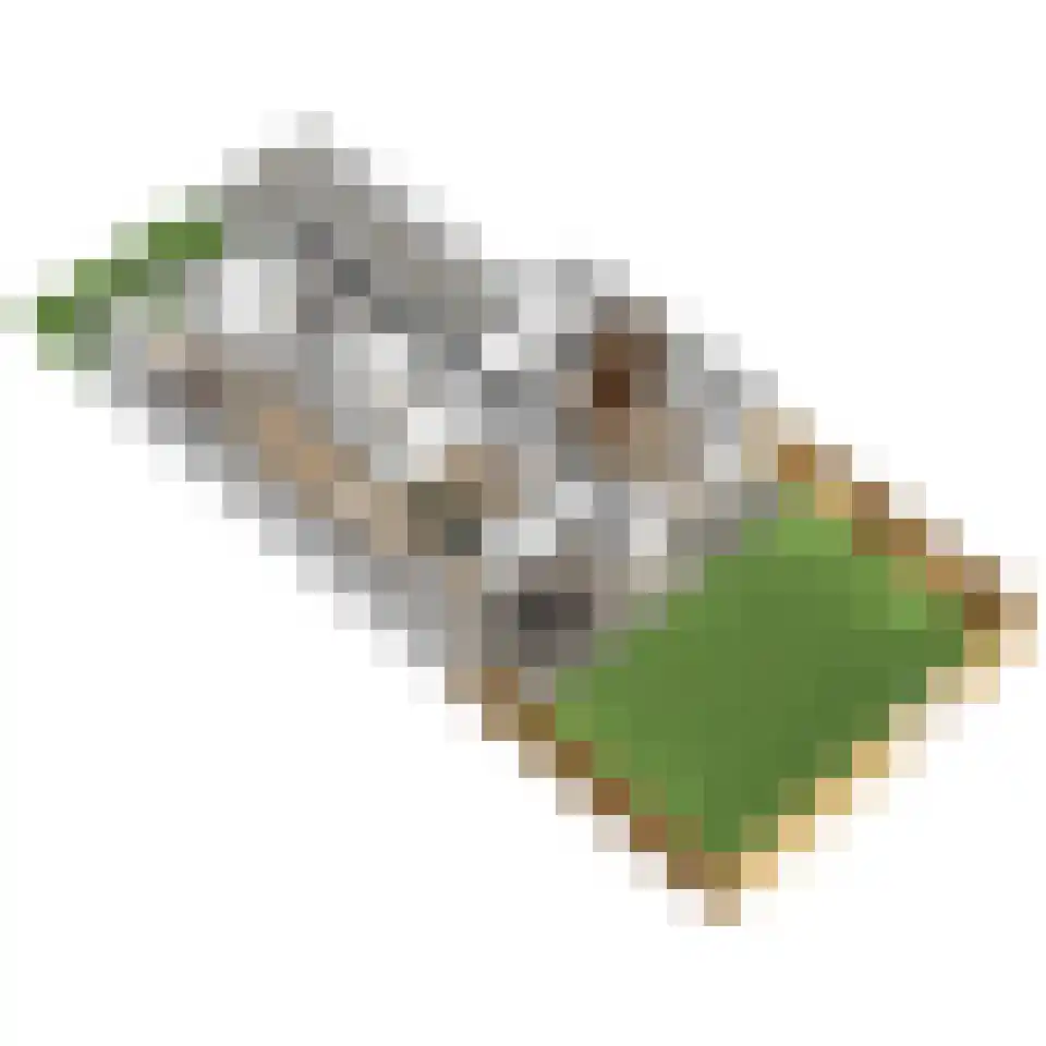 Pioenrooslaan 16 Wateringen thumbnail 61