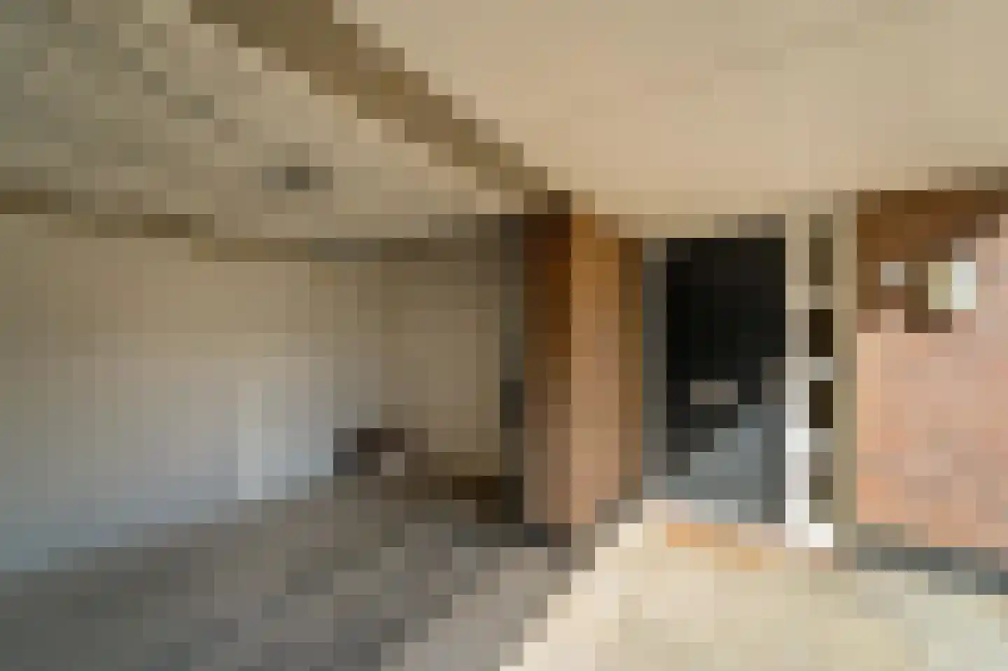 Pioenrooslaan 16 Wateringen thumbnail 7