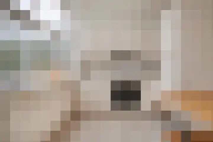 Pioenroosstraat 1 Rosmalen thumbnail 10
