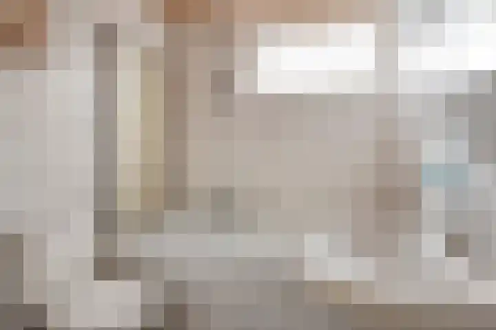 Pioenroosstraat 1 Rosmalen thumbnail 20