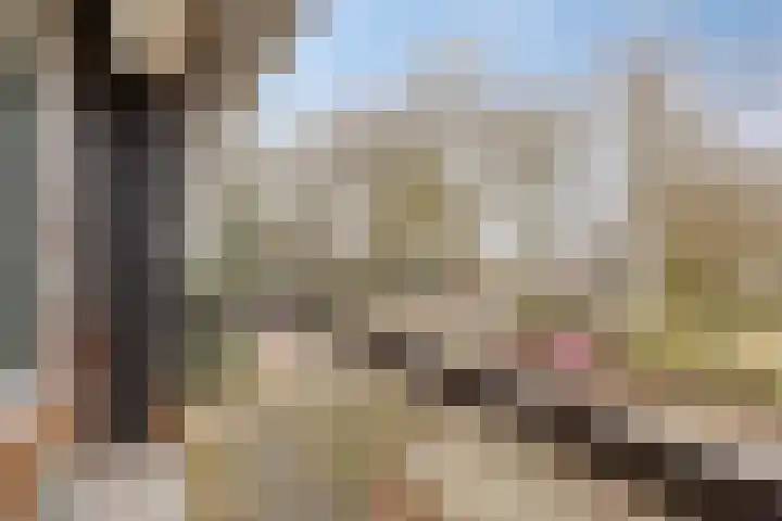 Pioenroosstraat 1 Rosmalen thumbnail 26