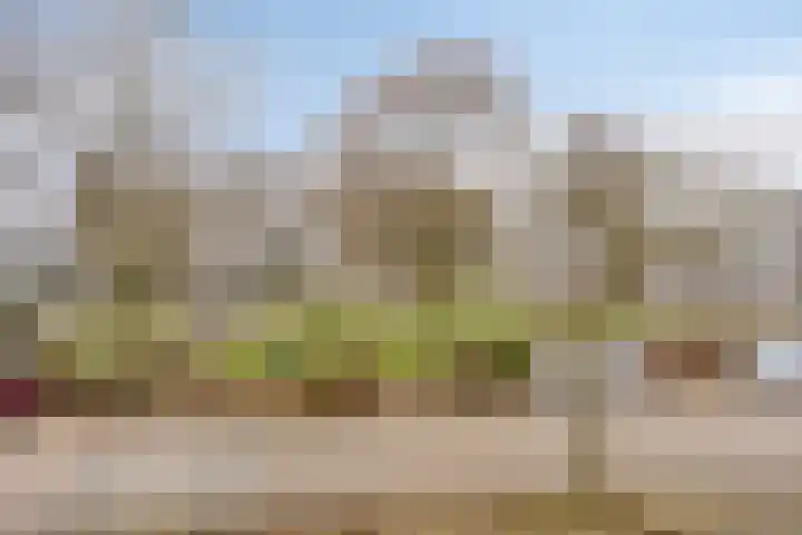 Pioenroosstraat 1 Rosmalen thumbnail 27