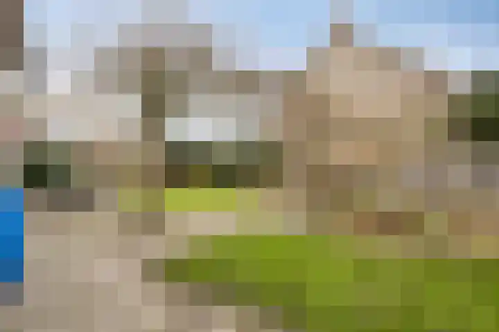 Pioenroosstraat 1 Rosmalen thumbnail 35