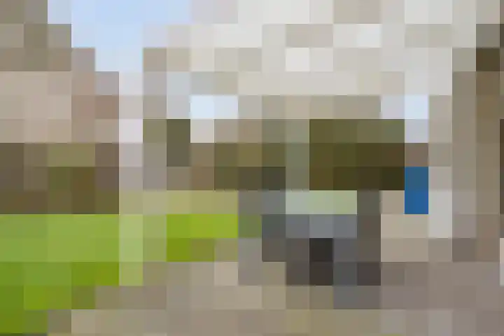 Pioenroosstraat 1 Rosmalen thumbnail 37