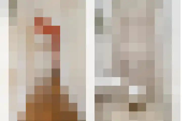 Pioenroosstraat 1 Rosmalen thumbnail 4