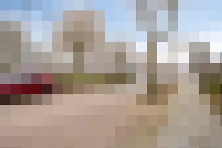 Pioenroosstraat 1 Rosmalen thumbnail 40