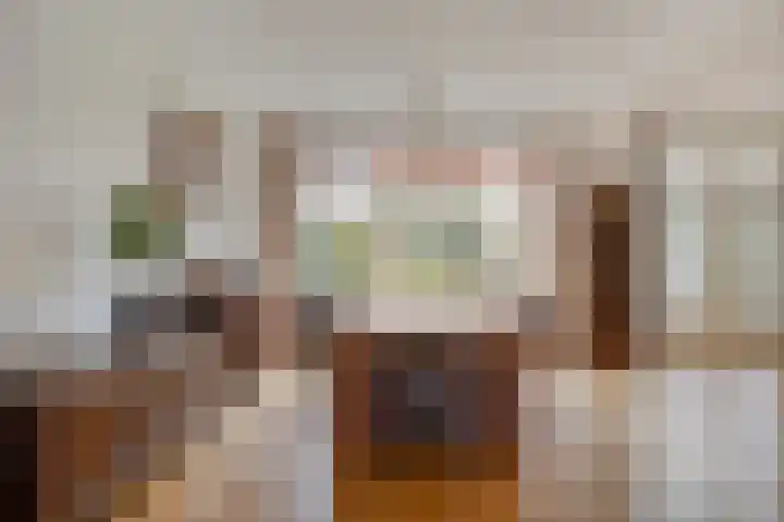 Pioenroosstraat 1 Rosmalen thumbnail 7