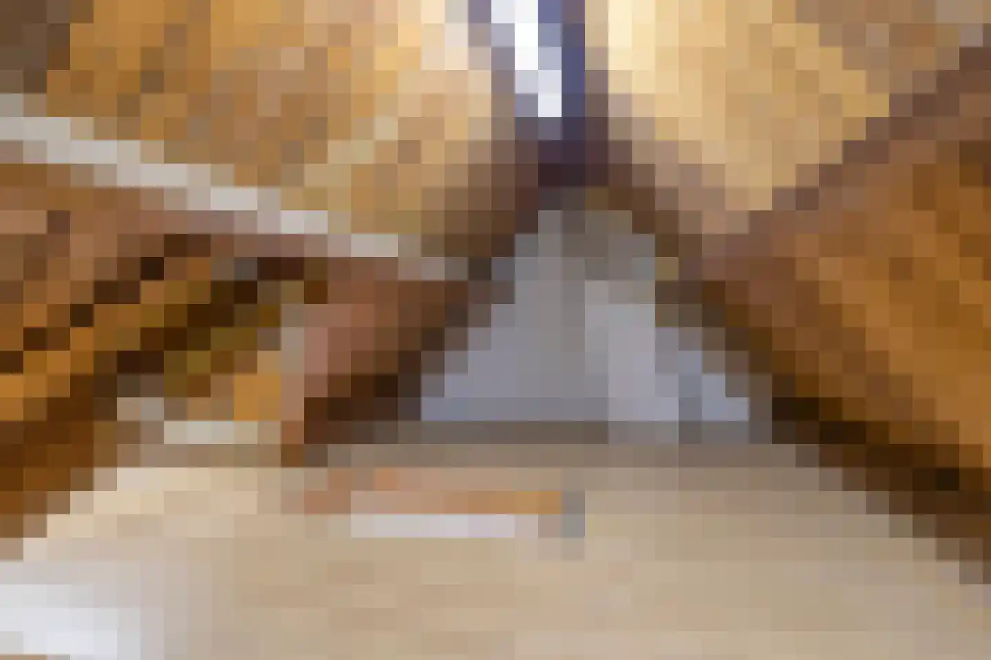 Pioenroosstraat 10 Eindhoven thumbnail 33