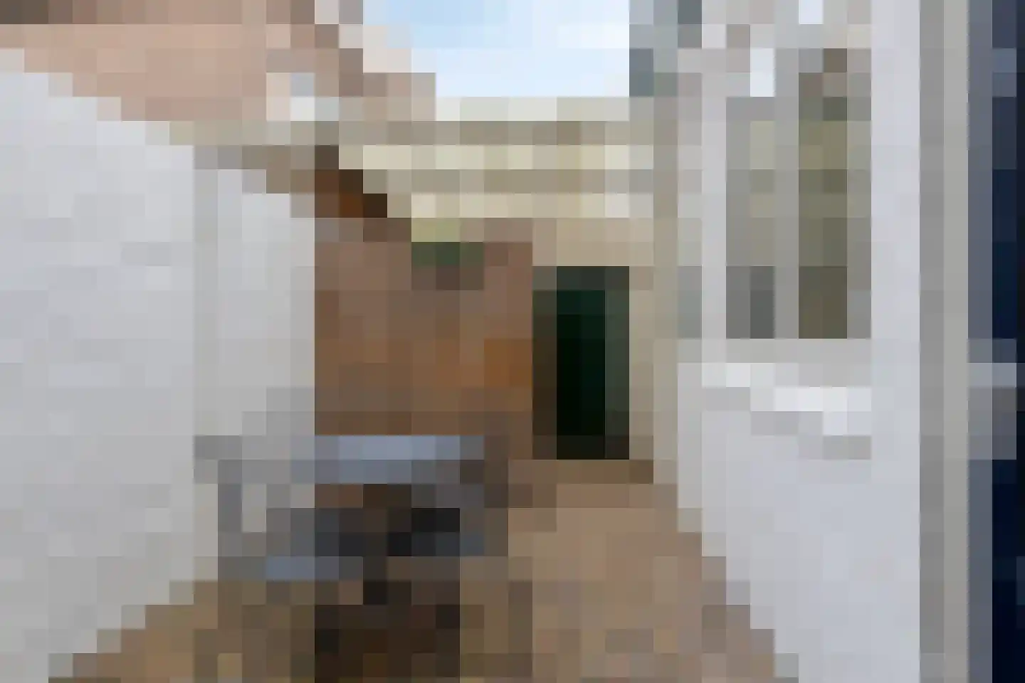 Pioenroosstraat 10 Eindhoven thumbnail 34