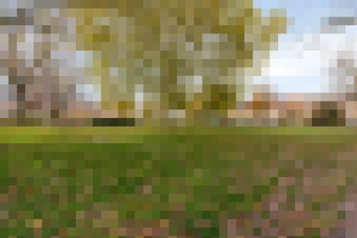 Pioenroosstraat 10 Eindhoven thumbnail 37