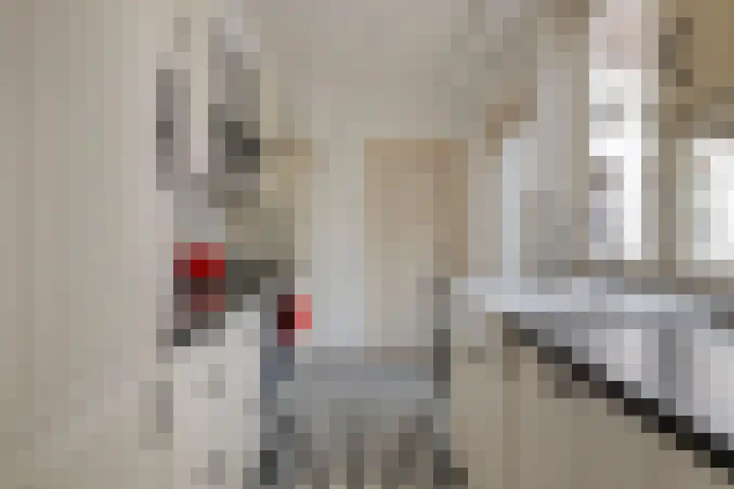 Pioenroosstraat 10 Eindhoven thumbnail 4