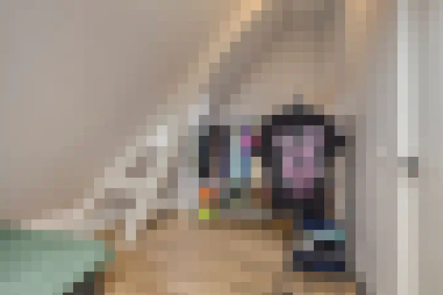 Pioenroosstraat 2 Eindhoven thumbnail 23