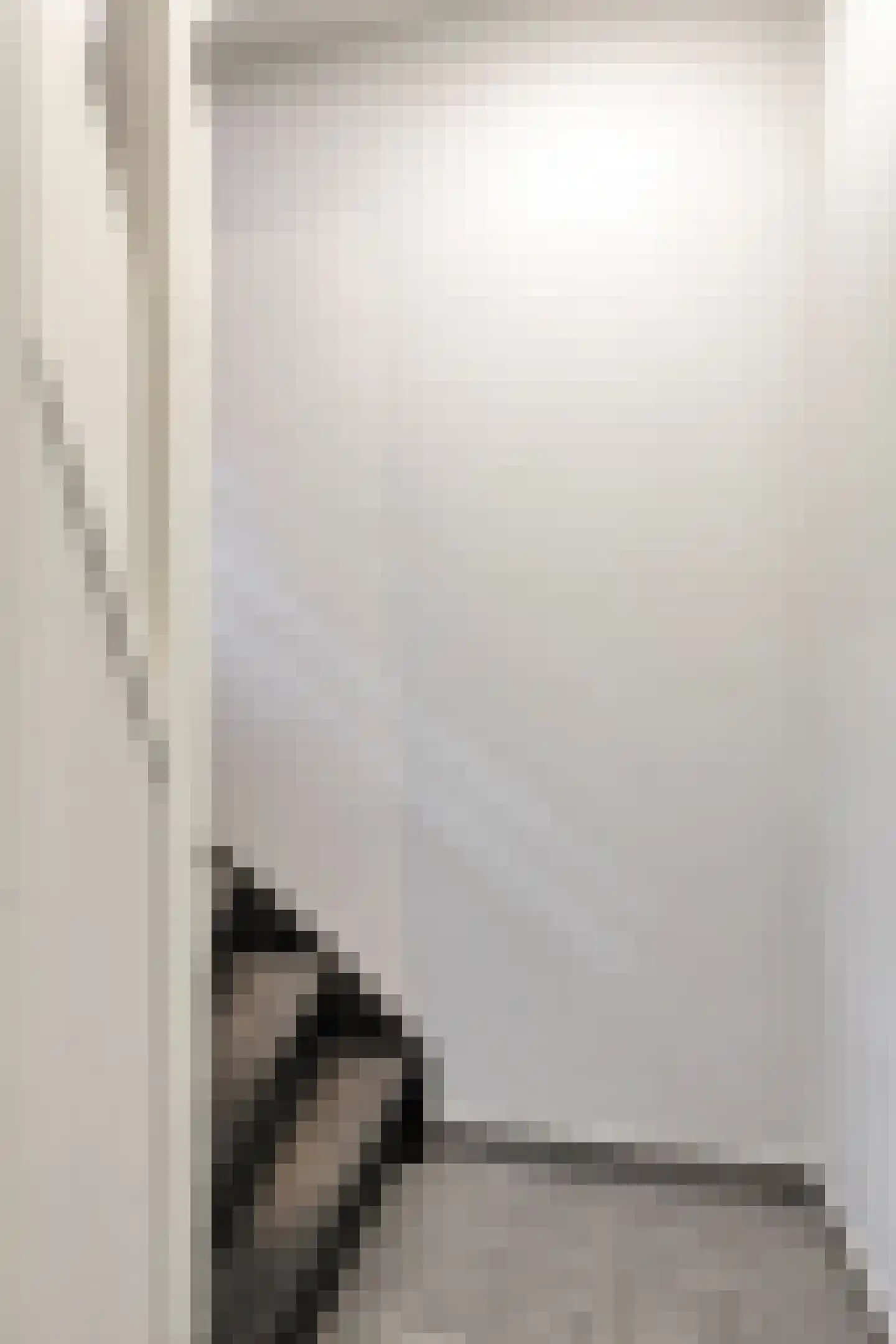 Pioenroosstraat 2 Eindhoven thumbnail 7